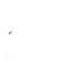 Nexus Gallery Logo